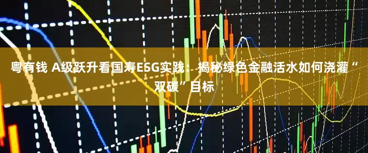 粤有钱 A级跃升看国寿ESG实践：揭秘绿色金融活水如何浇灌“双碳”目标